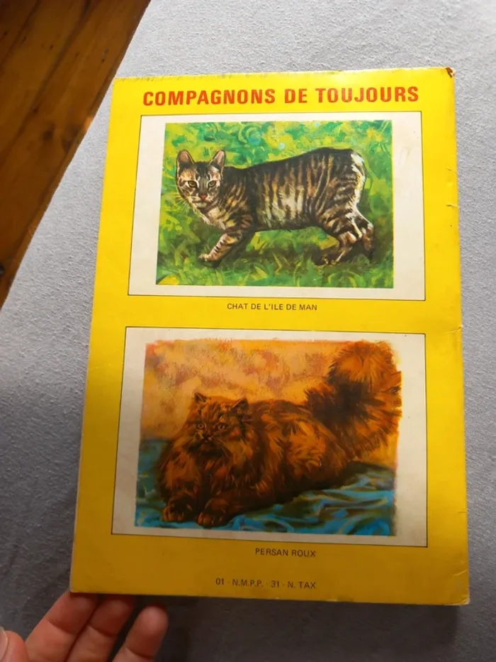 Titi géant n°22 vintage - photo numéro 2