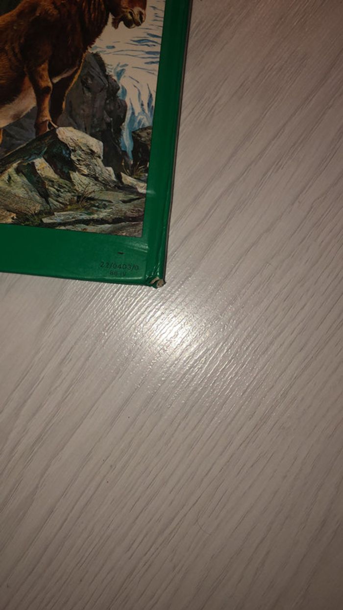 La vie secrète des bêtes dans les montagnes - photo numéro 4