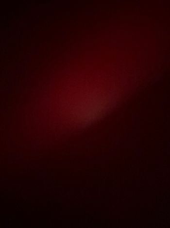 Lot dressing des loulous