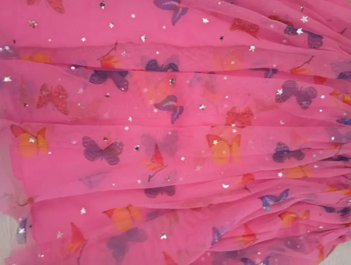Robe papillon 5 ans - photo numéro 2