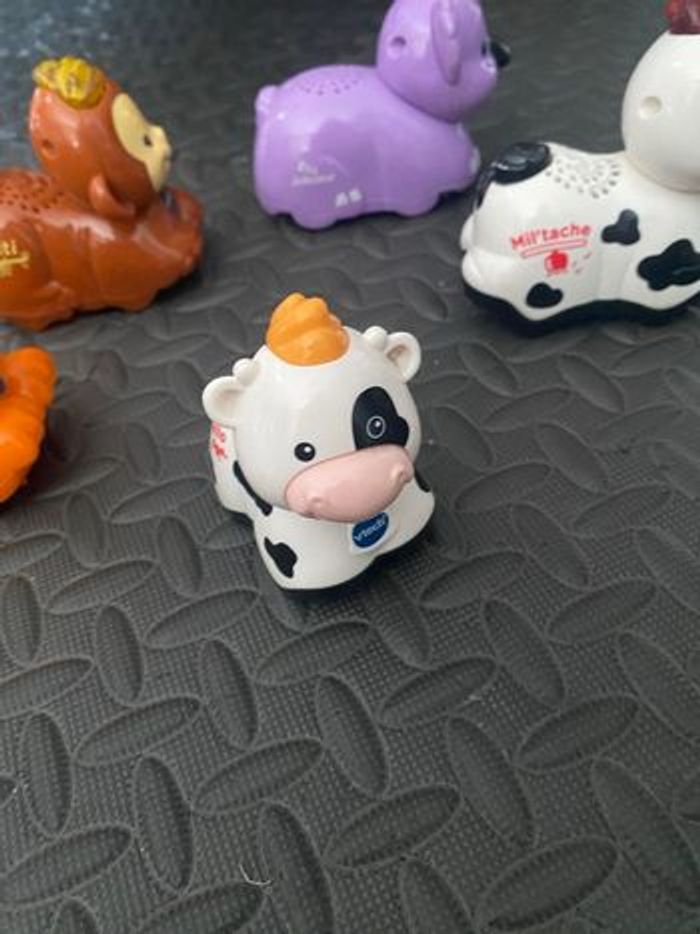 Tut tut animo - photo numéro 2