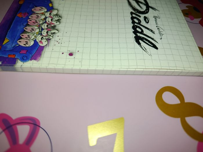 Bloc Diddl a6 complet - photo numéro 3