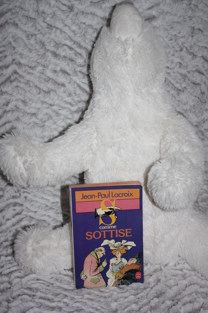 S comme sottise, H comme humour - photo numéro 6