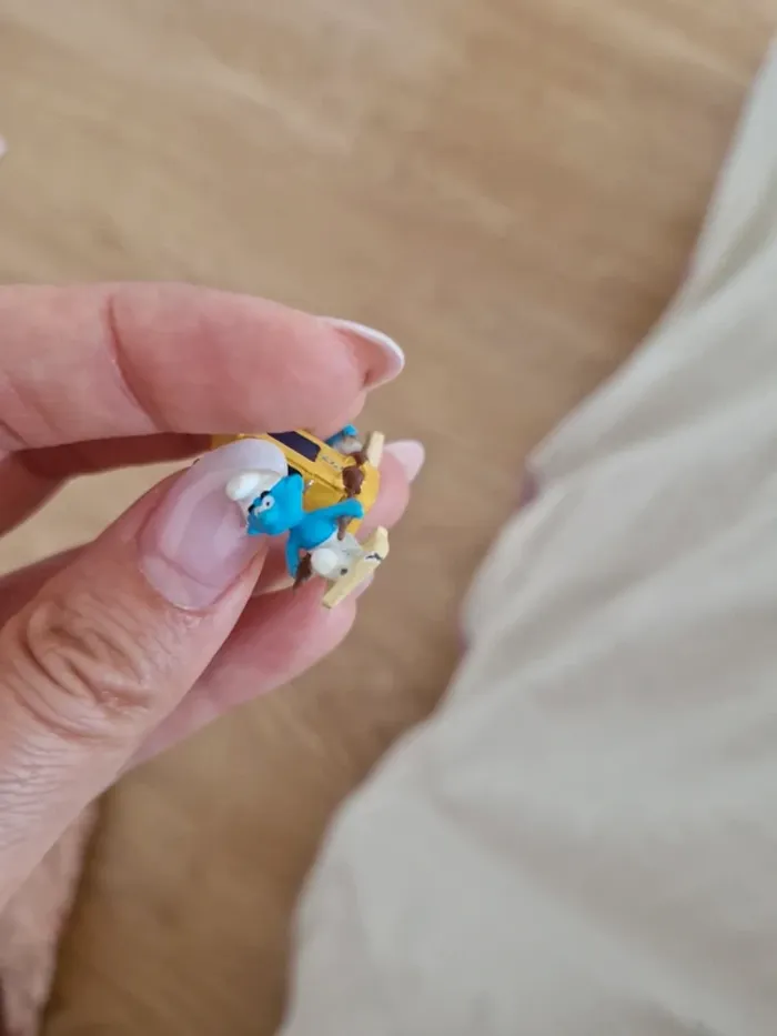 Construisez le village des Schtroumpfs - Peyo 2019 - photo numéro 3