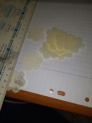 Lot 22 fleurs translucide beige decoupe papier m24