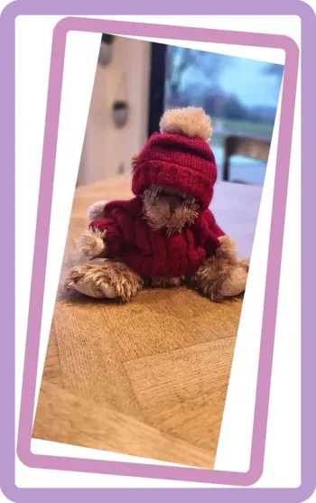 Bukowski peluche neuve