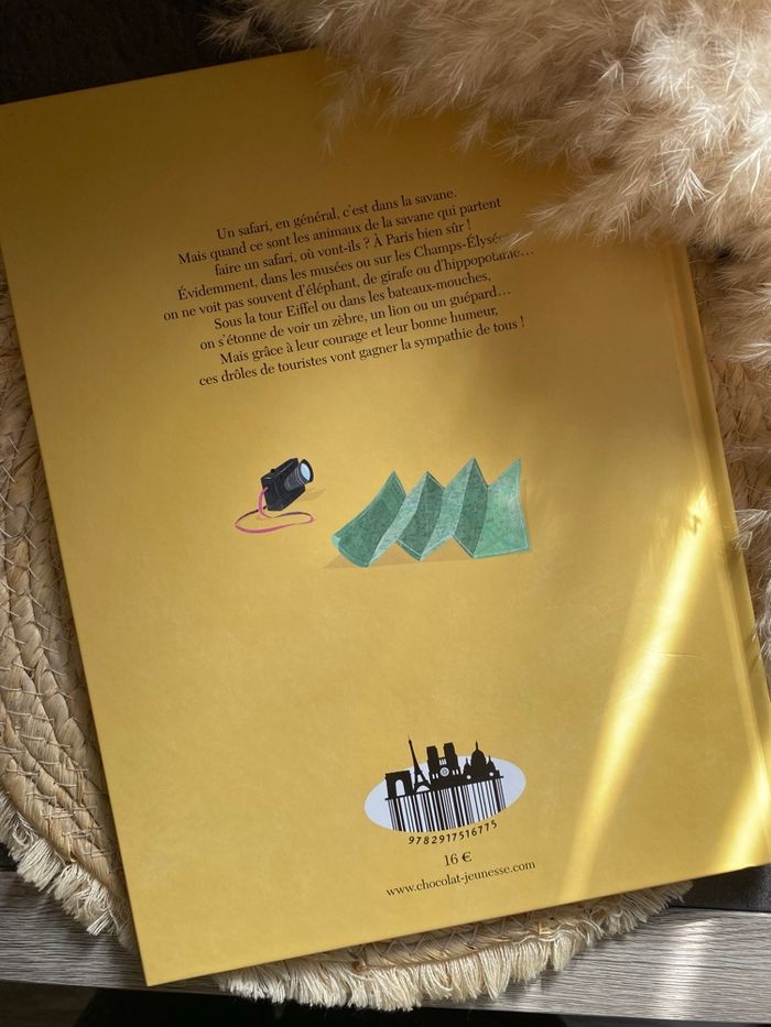 Safari à Paris, livre pour enfant - photo numéro 4