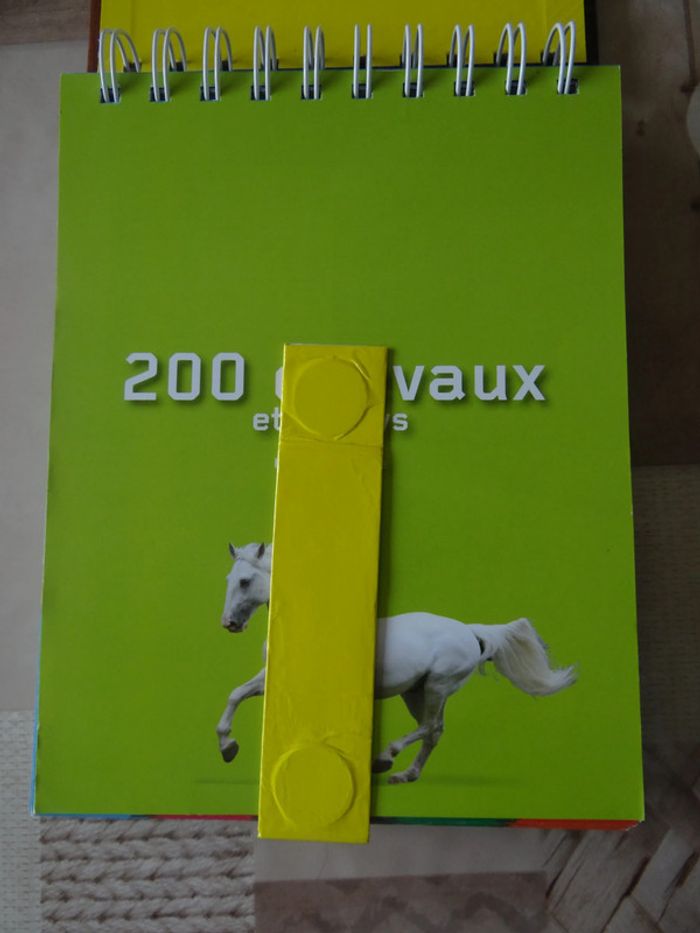 livre 200 chevaux et poneys - photo numéro 3