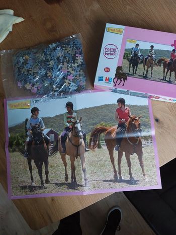 Puzzle 500 pièces grand galop MB