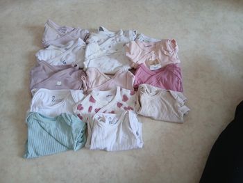 Lot de 14 bodies