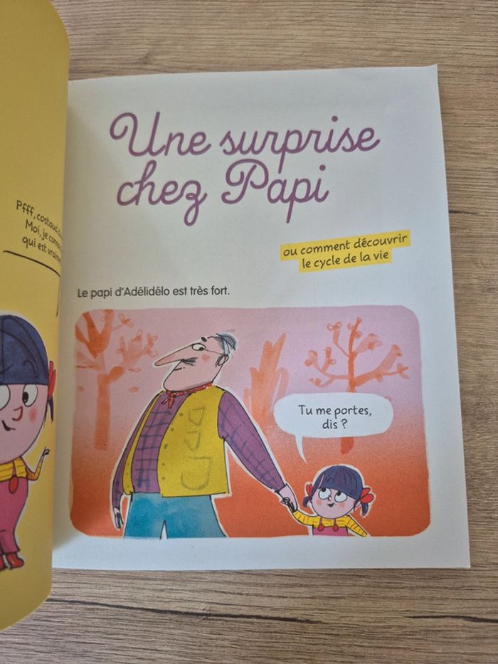 Bande dessinée Adélidélo - photo numéro 4