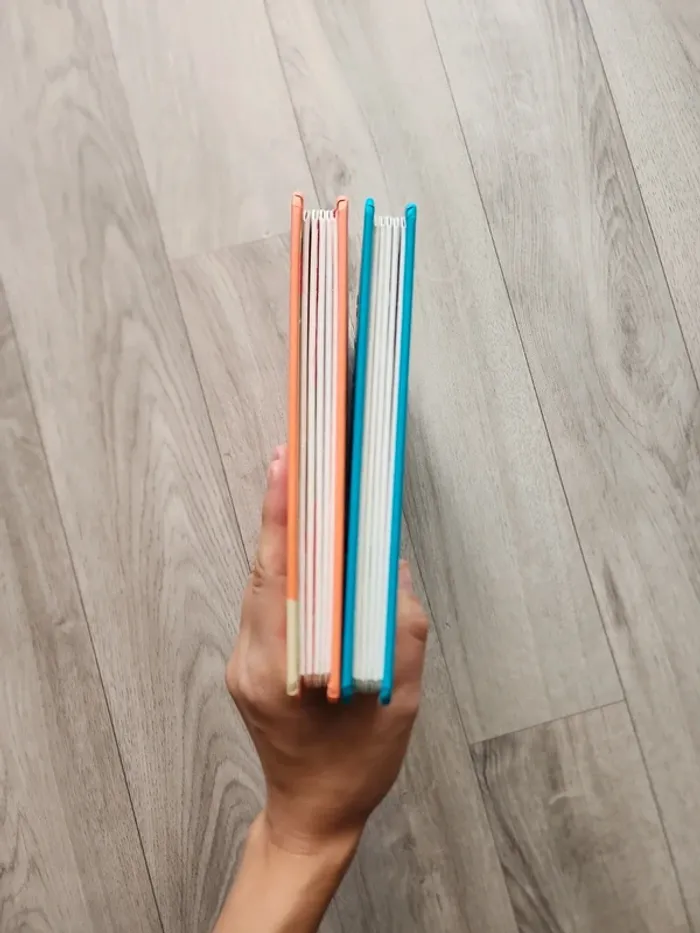 Lot livres a rabats Bravo petit coquin et quelle colère petit coquin - photo numéro 4