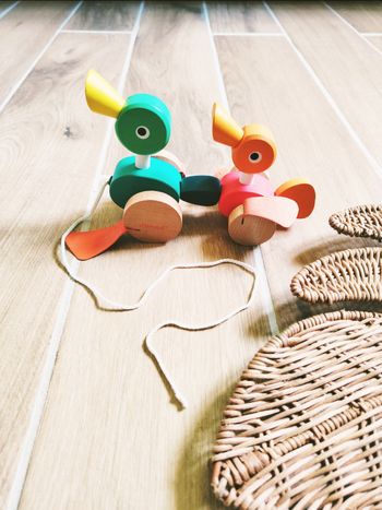 🦆Famille de Canards à promener en bois marque Janod