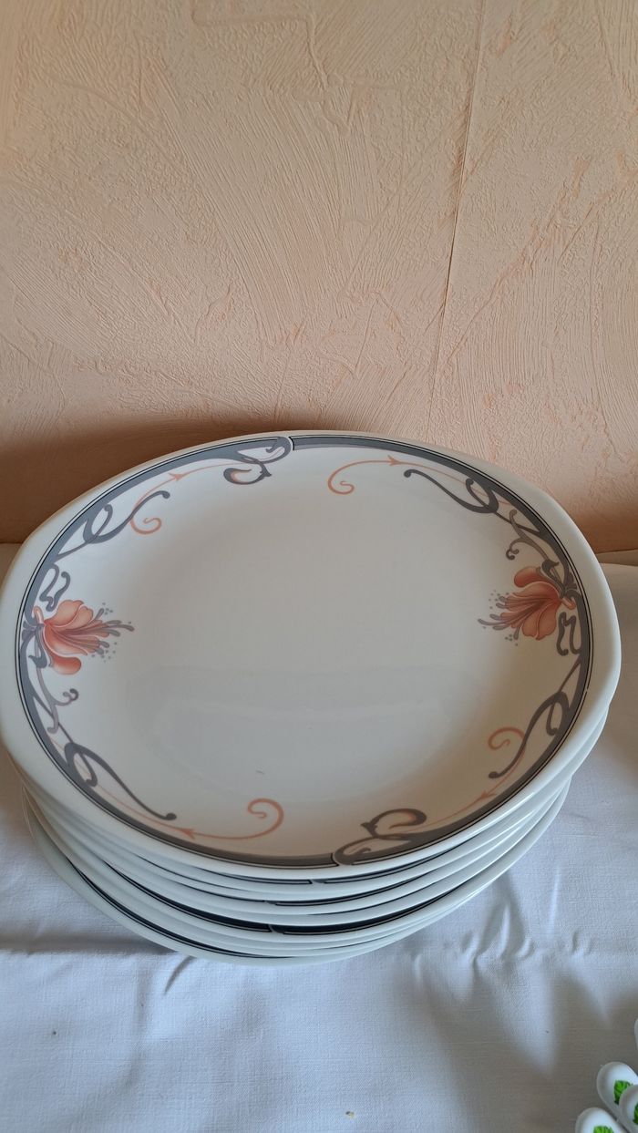 Lot 12 grandes assiettes