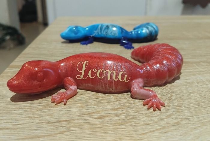 Salamandre personnalisée