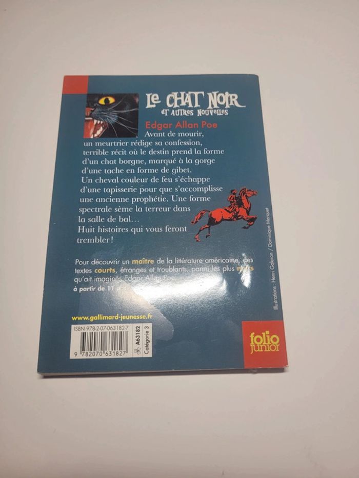 Le chat noir et autres nouvelles - photo numéro 2