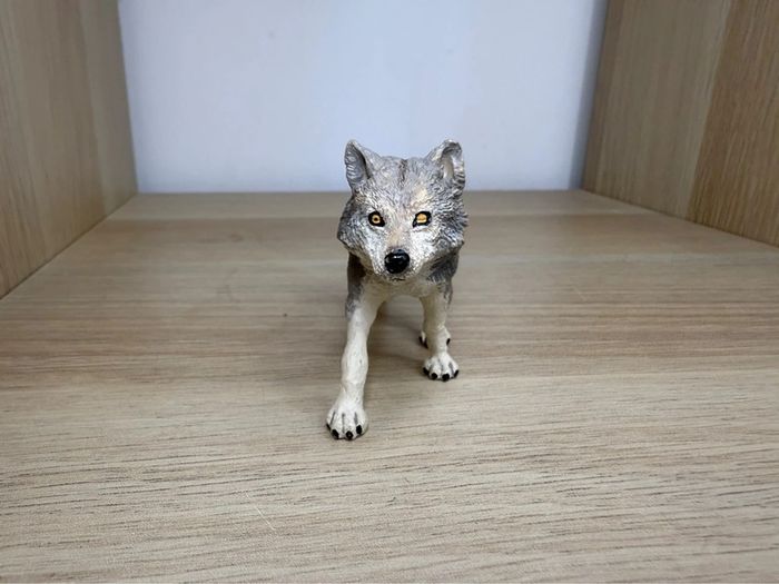 Loup papo - photo numéro 2