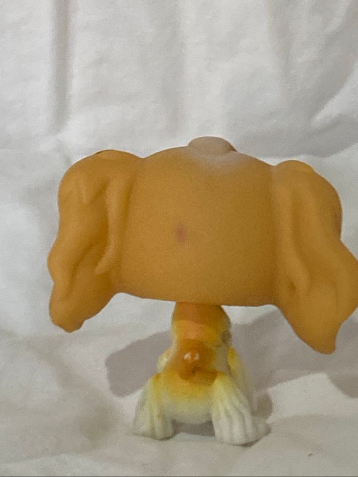 lps cocker - photo numéro 6