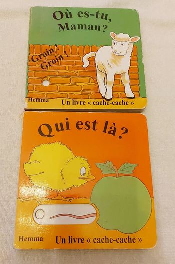 Livres cache cache hemma