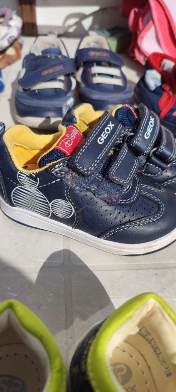 Geox Mickey 21