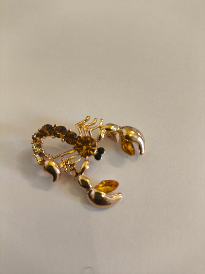 Broches scorpion - photo numéro 2