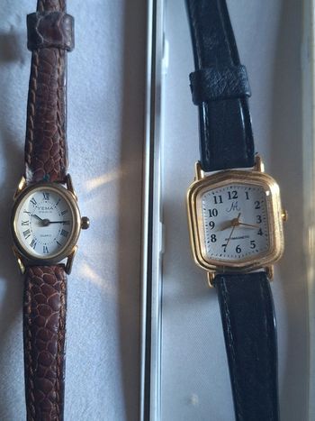 Lot de 2 montres vintage pour collectionneur