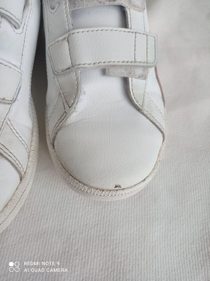 Puma à scratch - photo numéro 10