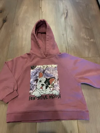 Sweat-shirt bullgog