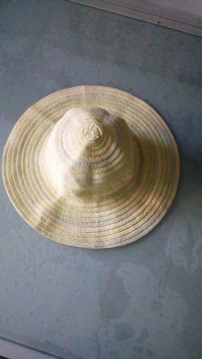 Chapeau - photo numéro 4