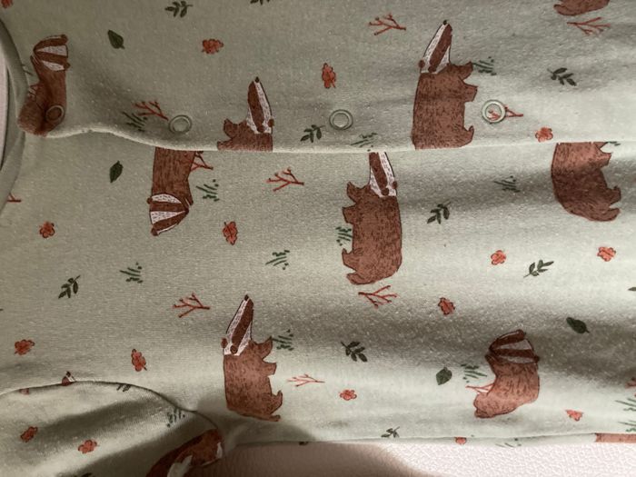 lot 2 pyjamas grenouillère motif nature 18/24 mois - photo numéro 6