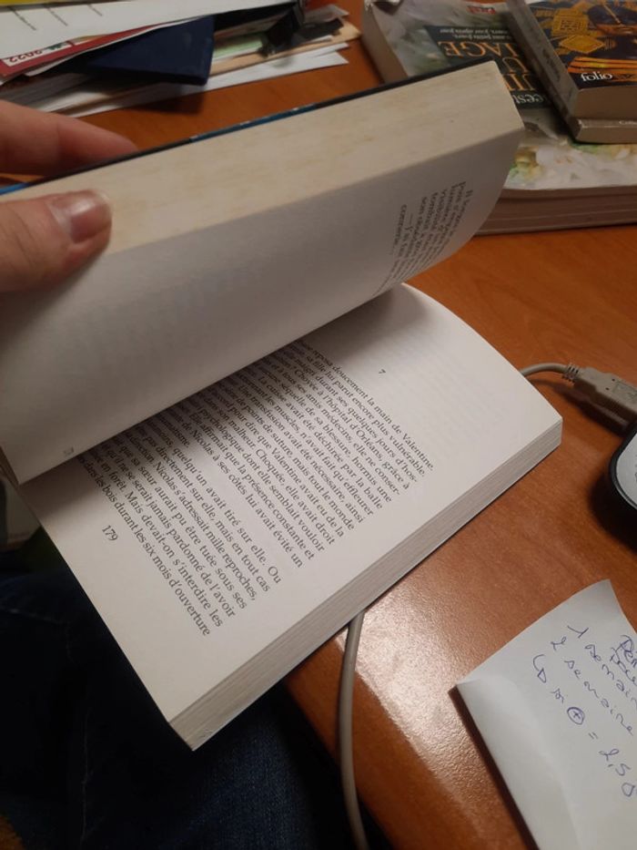 Livre bourdin - photo numéro 8