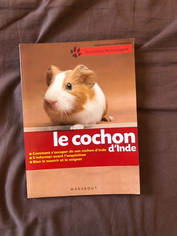 Livre sur le cochon d’Inde