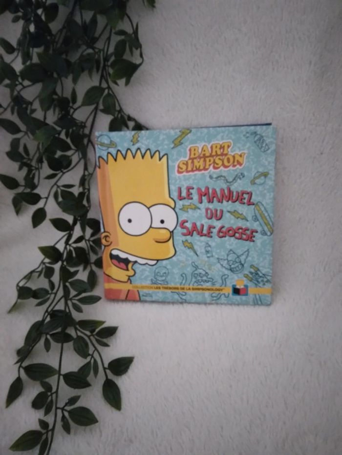 🍁Livraison a 1€ jusqu'à lundi 9h sur LBC - tigre16🍁🌸Livre Bart Simpson 🌸