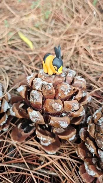 Super petite figurine Pokemon Nintendo gruikui