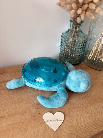 Tortue veilleuse Cloud B 