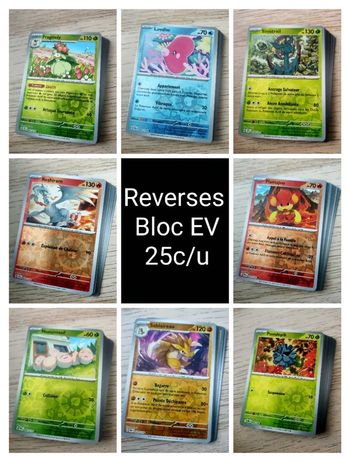 Reverses Bloc  Écarlate et Violet