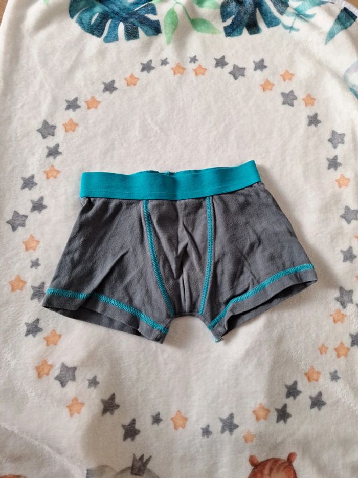 Boxer 4 ans