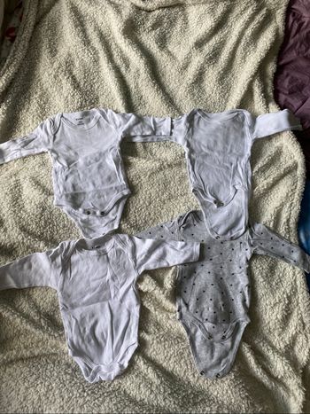Lot bodies