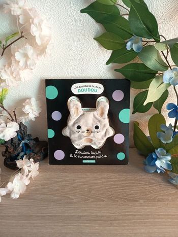 Doudou lapin et le nounours perdu – Collection Les aventures de mon doudou – Casterman