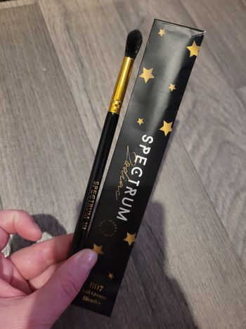 Pinceau fin en bois noir et doré Spectrum