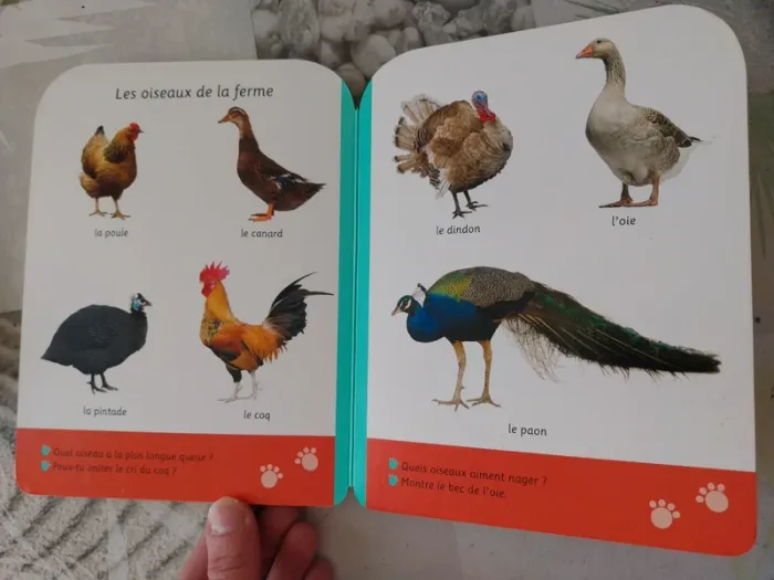 Livre Petits pas La ferme - photo numéro 7