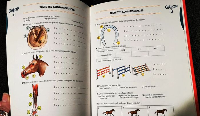 Livre cours équitation / hypologie galop 1 à 4 - photo numéro 8