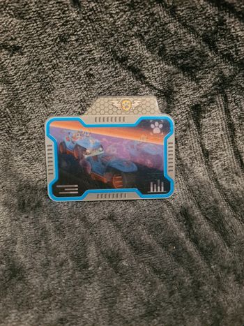 Carte jumeaux pat patrouille