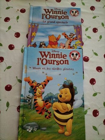 📚Lot de 2 livres de Winnie l'ourson📚