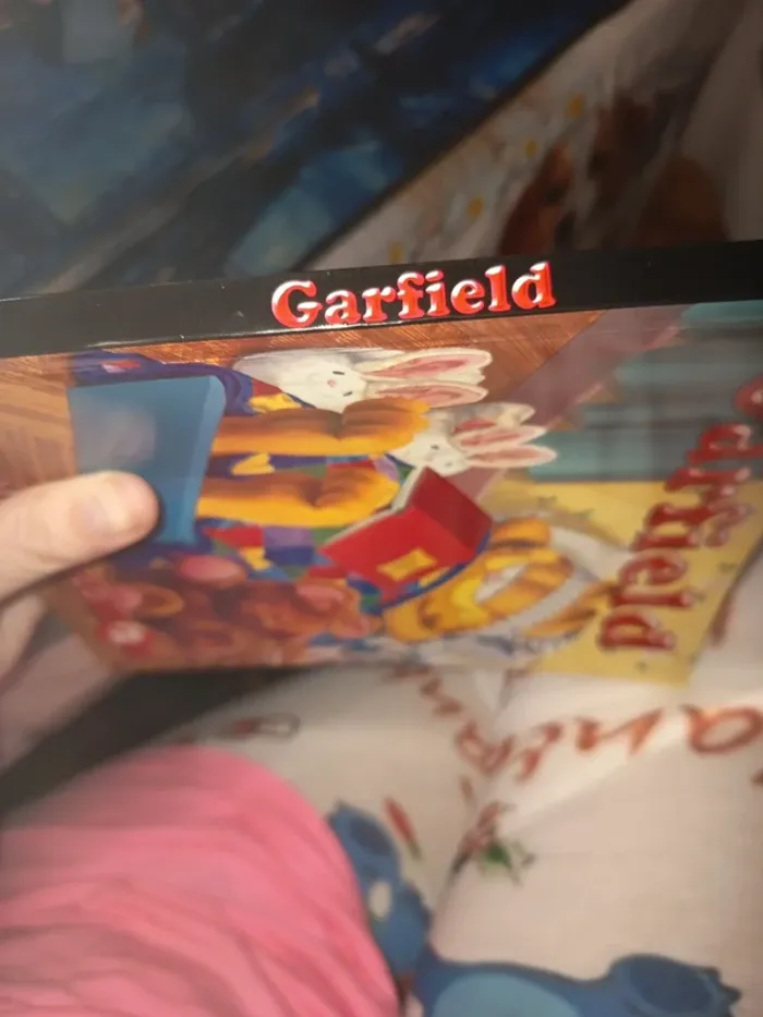 Garfield 2 - photo numéro 3