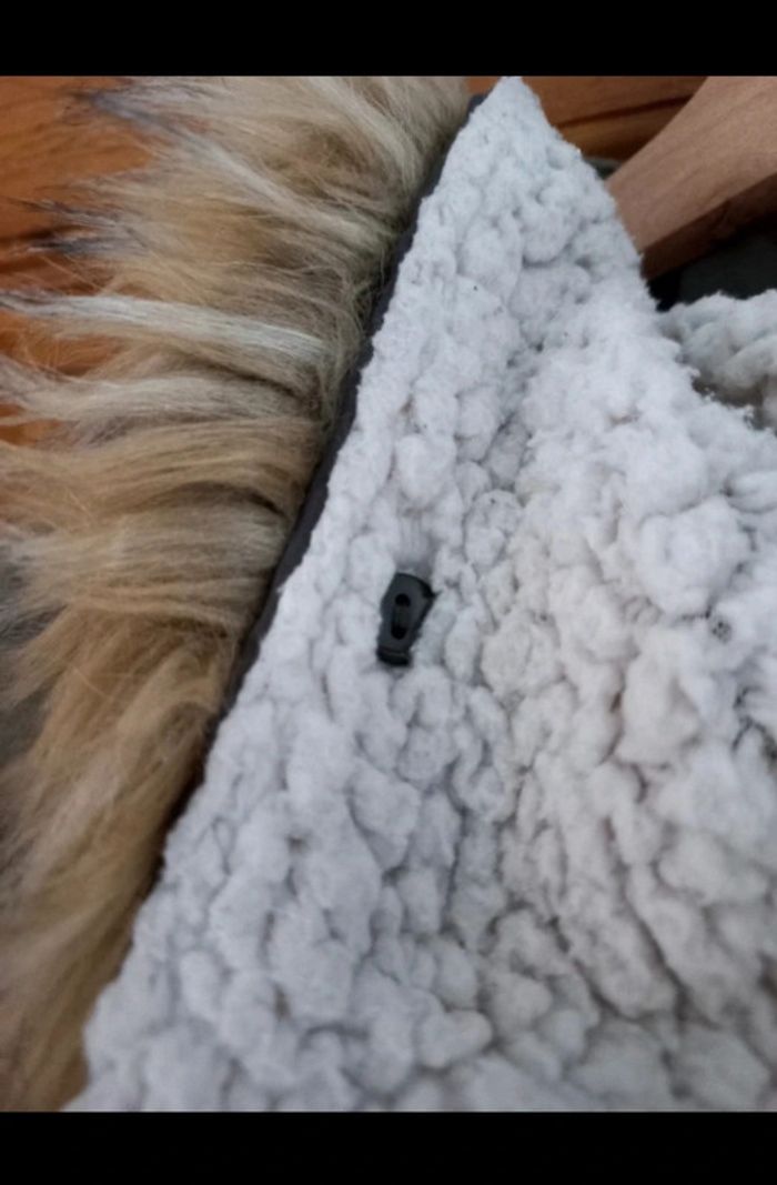 parka creeks - photo numéro 4