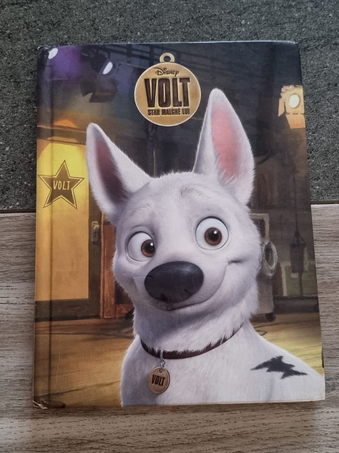 Livre Disney à l'unité ou en lot - photo numéro 9