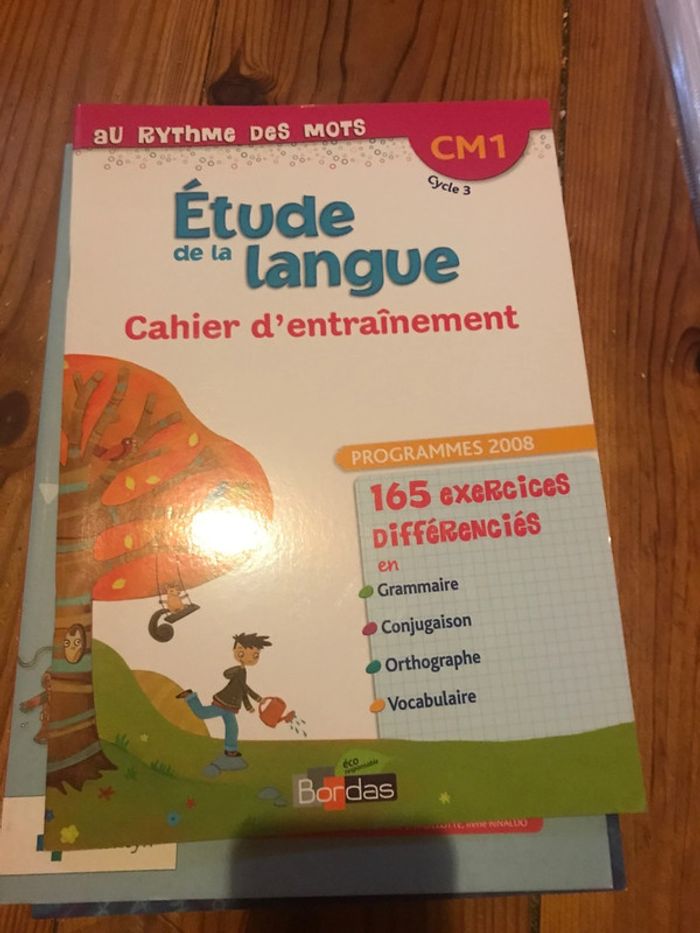 Étude de la langue cahier d’entraînement CM1 bordas