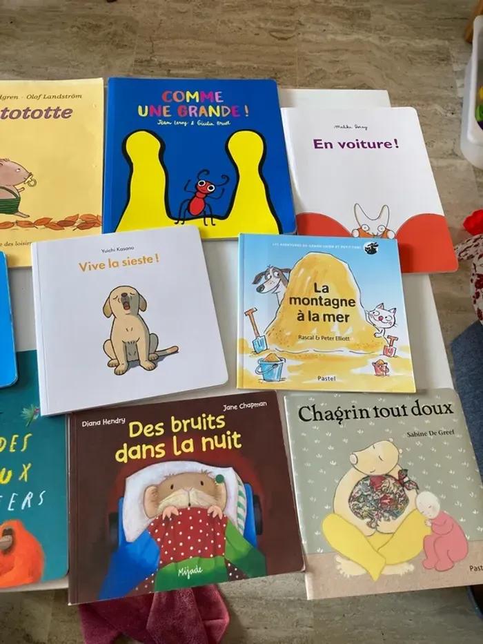 livres pour enfants, l’école des loisirs et autres - photo numéro 3