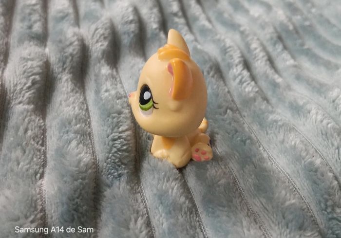 Petshop  chat 1649 - photo numéro 4